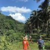 Los Haitises National Park- From Sabana de la Mar + Hiking 2 Hours Rain Forest. - Image 2