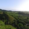 Los Haitises National Park- From Sabana de la Mar + Hiking 2 Hours Rain Forest. - Görsel 3