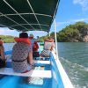 Los Haitises National Park- From Sabana de la Mar + Hiking 2 Hours Rain Forest. - Image 6