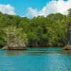 Mangroves Reforestation in Los Haitises With Locals on Kayak - Image 2