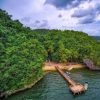 Los Haitises National Park + Lunch at Caño Hondo from Samaná Port. - Image 4