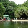 Mangroves Reforestation in Los Haitises With Locals on Kayak - Image 4