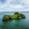 Los Haitises National Park + Lunch at Caño Hondo from Samaná Port. - Image 8