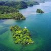 Parque Nacional Los Haitises desde el puerto de Samaná - Image 13