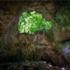 Excursión a Los Haitises con Senderismo en el Bosque Húmedo - Image 10