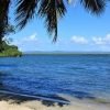 Mangroves Reforestation in Los Haitises With Locals on Kayak - Image 10