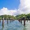 Los Haitises National Park Tour from Samaná Port + Bacardi Island (Cayo Levantado) - Image 4