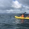 Private Kayaking & Snorkeling with Lunch on Cayo Levantado Island - Image 20