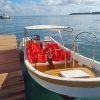 Private Tour to Los Haitises National Park from Samaná Port + Bacardi Island (Cayo Levantado) - Image 6