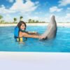 Punta Cana: Dolphin Discovery Swims and Encounters - Bilde 20