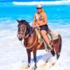 Macao Beach & Forest Horseback Adventure - Bilde 5