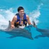 Punta Cana: Dolphin Discovery Swims and Encounters - Bilde 3