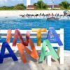 Punta Cana: Dolphin Discovery Swims and Encounters - Bilde 8