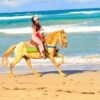 Macao Beach & Forest Horseback Adventure - Bilde 8